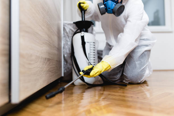  Winchester, IL Pest Control Pros