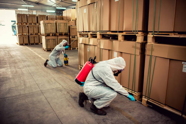 Best Best Pest Control Companies  in Winchester, IL