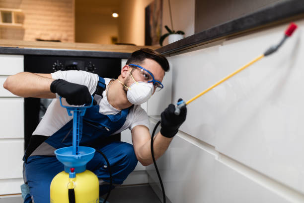 Best Pest Inspection Near Me  in Winchester, IL