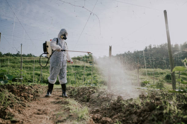 Best Commercial Pest Control Services  in Winchester, IL