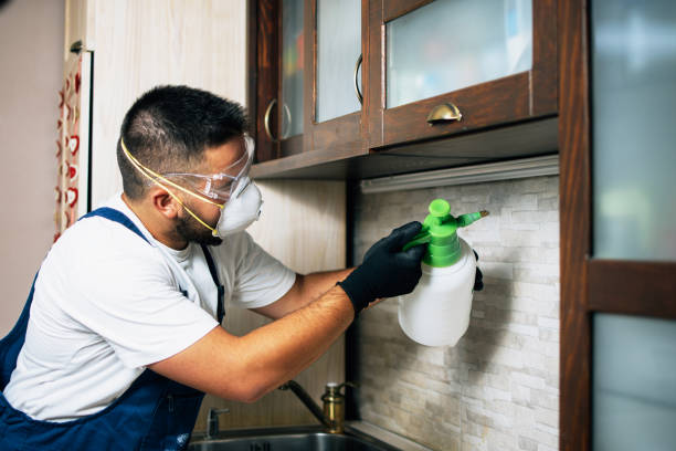 Best Affordable Pest Control Services  in Winchester, IL