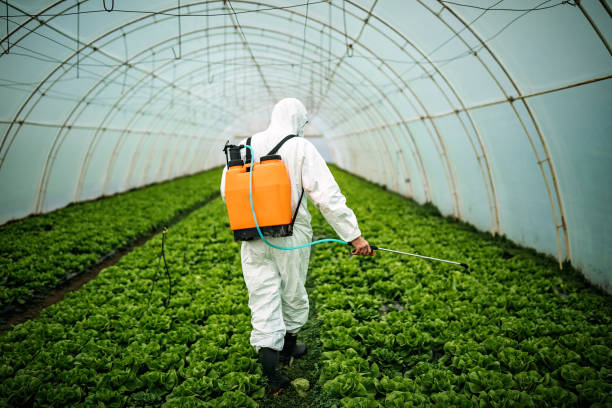 Best Best Pest Control Near Me  in Winchester, IL