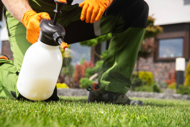 Reliable Winchester, IL Pest Control Solutions