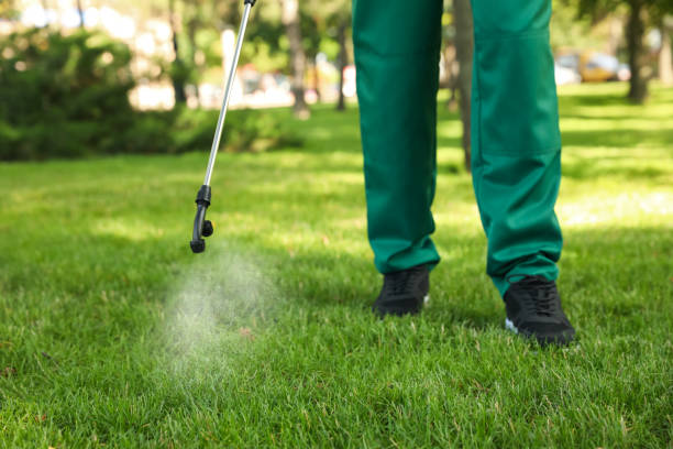 Best Pest Inspection Near Me  in Winchester, IL