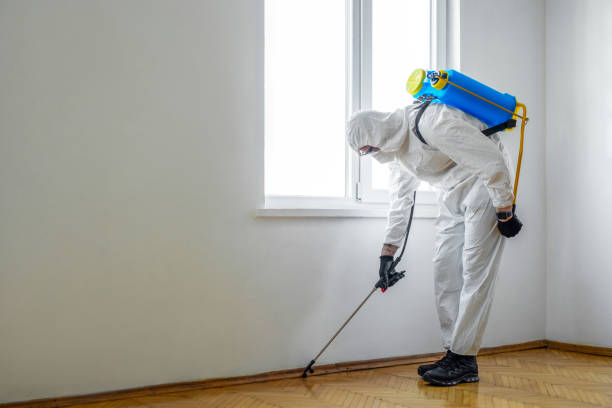 Best Rat Extermination Near Me  in Winchester, IL